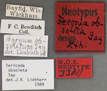 Media type: image;   Entomology 33011 Aspect: labels